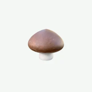 Ręcznie robiona gipsowa figurka podgrzybka niski